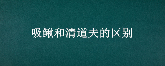 吸鳅和清道夫的区别 华吸鳅和清道夫