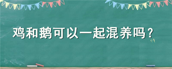 鸡和鹅可以一起混养吗 鹅和鸡能在一起混养吗