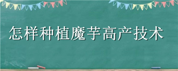 怎样种植魔芋高产技术（魔芋种植栽培技术）