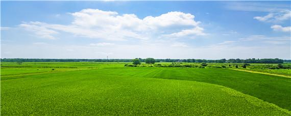 什么地不属于基本农田 什么土地属于基本农田