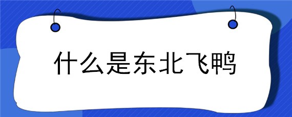 什么是东北飞鸭（东北飞鸭好吃吗）