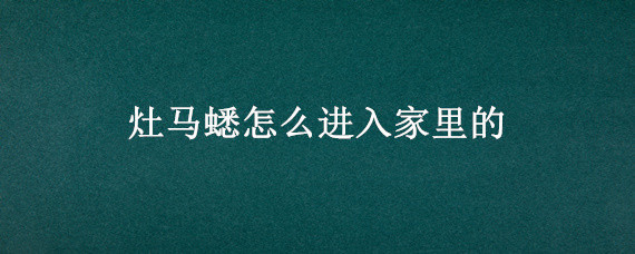 灶马蟋怎么进入家里的 灶马蟋为什么会进屋