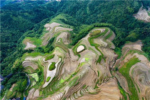 耕地地力保护补贴的申报流程是什么（耕地地力保护补贴的补贴对象）