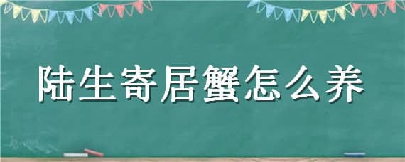 陆生寄居蟹怎么养 陆生寄居蟹如何饲养