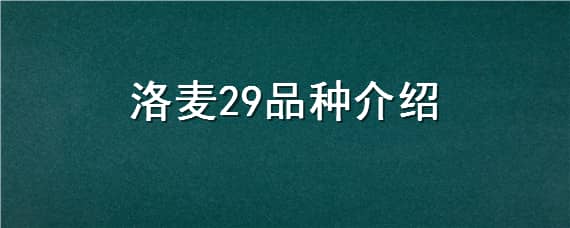 洛麦29品种介绍（洛旱19小麦品种简介）