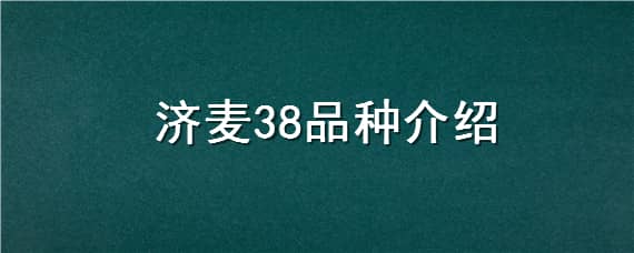 济麦38品种介绍（济麦新品种）