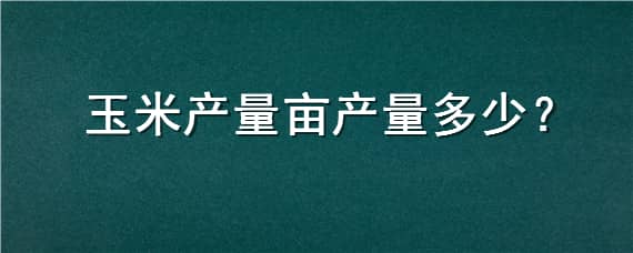 玉米产量亩产量多少（玉米产量亩产量多少斤）