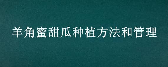 羊角蜜甜瓜种植方法和管理 羊角蜜甜瓜种植方法和管理视频