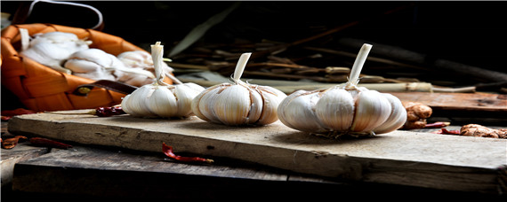 大蒜返青期怎么管理（大蒜什么时候返青）