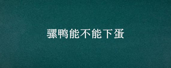 骡鸭能不能下蛋 鸭下蛋需要公鸭吗