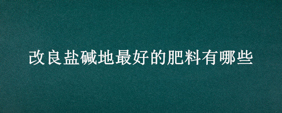 改良盐碱地最好的肥料有哪些（改良盐碱地最好的改良剂）