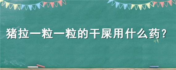 猪拉一粒一粒的干屎用什么药（猪拉屎一粒一粒的硬用什么药）