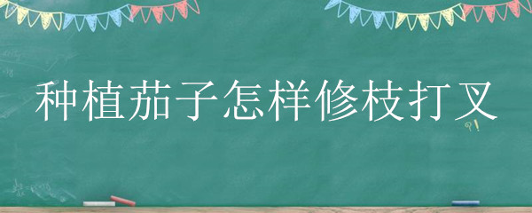 种植茄子怎样修枝打叉 种植西红柿怎样修枝打叉
