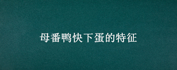 母番鸭快下蛋的特征（母番鸭什么时候下蛋）