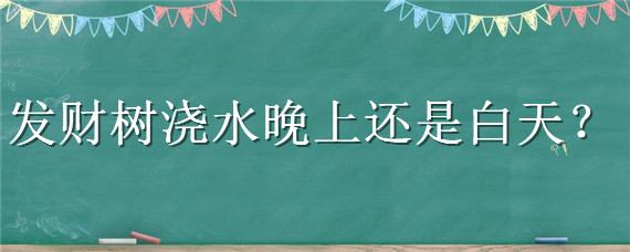 发财树浇水晚上还是白天 发财树浇水早上还是晚上