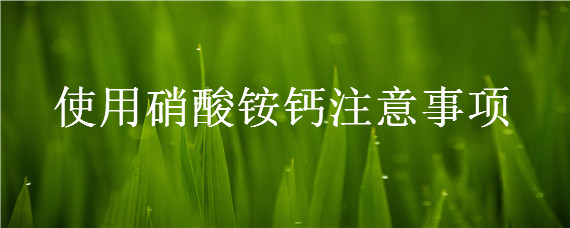 使用硝酸铵钙注意事项 使用硝酸铵钙注意事项磷酸