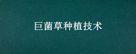 巨菌草种植技术 巨菌草种植技术 来儋州牧春考察