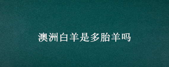 澳洲白羊是多胎羊吗 澳洲白是什么羊