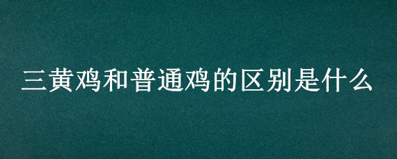 三黄鸡和普通鸡的区别是什么 三黄肉鸡与普通三黄鸡区别