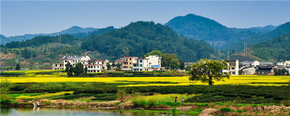 农村加工厂项目(农村加工厂项目加盟费)