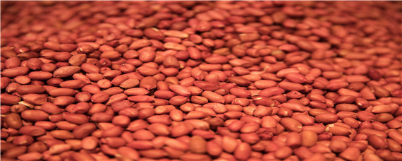 冬天怎么贮藏种子（冬季怎么储存玉米种子）