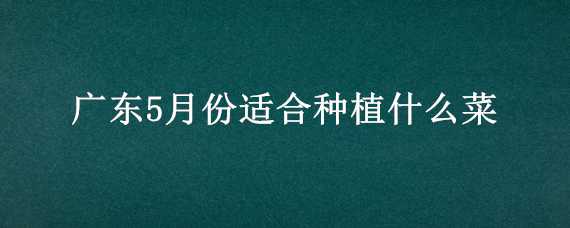 广东5月份适合种植什么菜（广东5月份适合种植什么菜品）