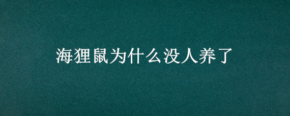 海狸鼠为什么没人养了 为什么海狸鼠不让养了