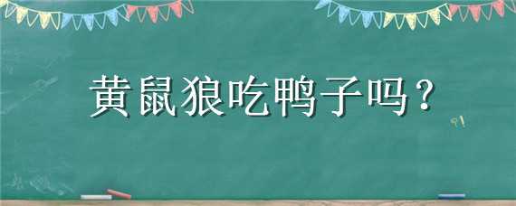 黄鼠狼吃鸭子吗（黄鼠狼会吃小鸭子吗）