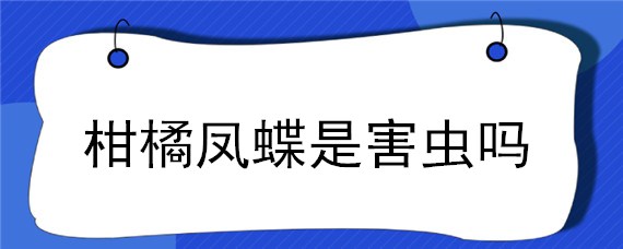 柑橘凤蝶是害虫吗（柑橘树的凤蝶虫的防治）