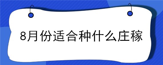 8月份适合种什么庄稼 8月种什么农作物最合适