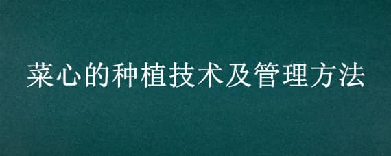 菜心的种植技术及管理方法 菜心的种植技术及管理方法图片