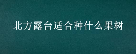 北方露台适合种什么果树 北方露台适合种什么果树和花