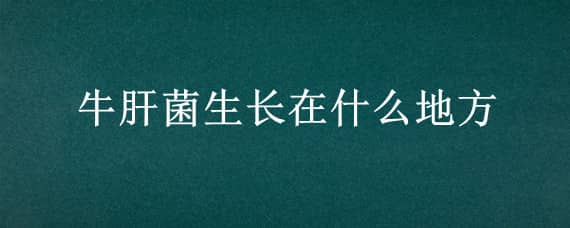 牛肝菌生长在什么地方（牛肝菌生长在什么地方图片）