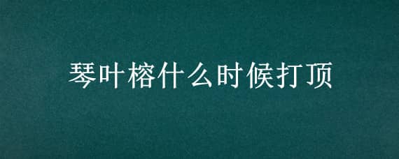 琴叶榕什么时候打顶（琴叶榕什么时候打顶比较好）