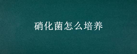 硝化菌怎么培养（鱼缸养水硝化细菌怎么培养）