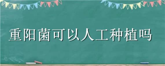 重阳菌可以人工种植吗 重阳菌的人工栽培技术