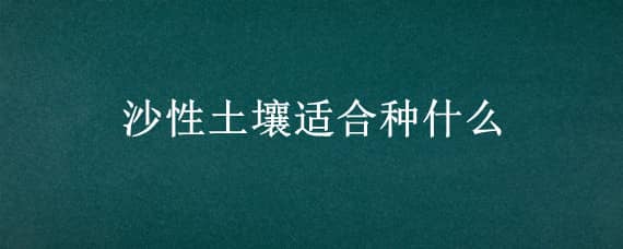 沙性土壤适合种什么 沙性土壤适合种什么花