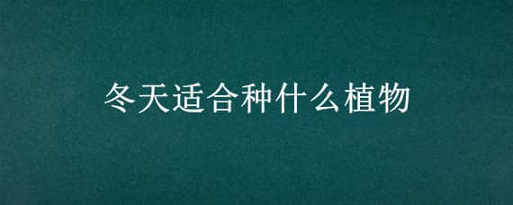 冬天适合种什么植物 冬天适合种什么植物在学校