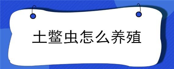 土鳖虫怎么养殖 土鳖虫怎么养殖方法