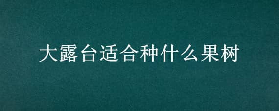 大露台适合种什么果树 适合大露台种植的果树