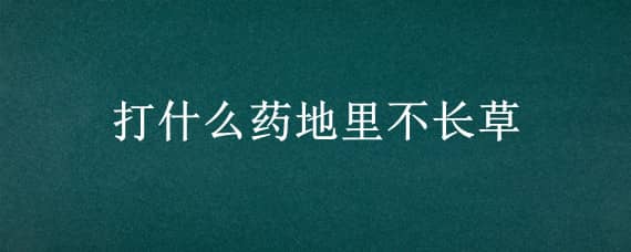 打什么药地里不长草（地里不长草的药）