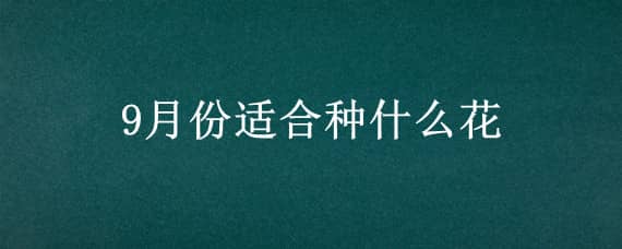 9月份适合种什么花 9月份适合种什么花草