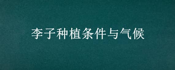 李子种植条件与气候（李子种植地理条件）