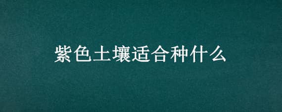 紫色土壤适合种什么（紫色土壤适合种什么果树）