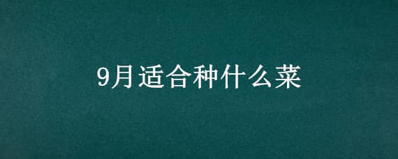 9月适合种什么菜 9月份种什么菜