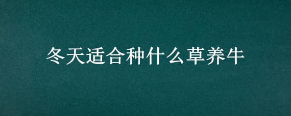 冬天适合种什么草养牛（冬季种什么草养牛最好）