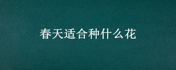 春天适合种什么花（春天适合种什么花30种）