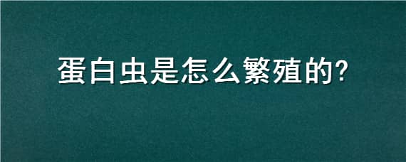 蛋白虫是怎么繁殖的（蛋白虫种虫怎么培育出来）