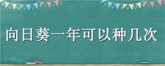 向日葵一年可以种几次 向日葵一般多久种