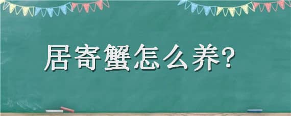 居寄蟹怎么养? 居寄蟹怎么养说说